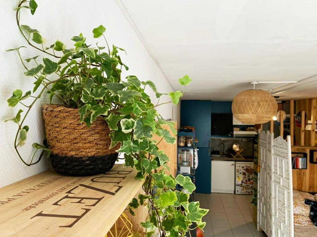 לה רושל Studio Avec Terrasse Tout Pres Du Vieux Port מראה חיצוני תמונה